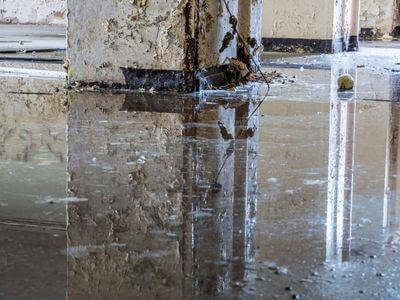 About Rise Water Restoration - water damage restoration experts in Superior, AZ